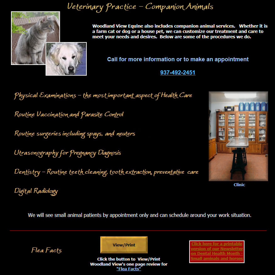 Veterinary Practice - Companion Animals